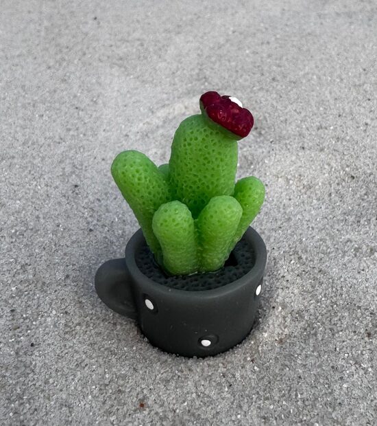 Mini sukulentu dekors 